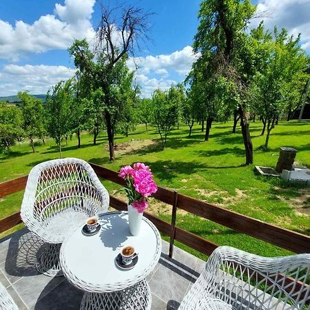 Vikendica Gaj Βίλα Gornji Milanovac Εξωτερικό φωτογραφία