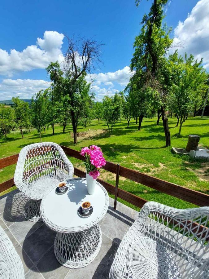 Vikendica Gaj Βίλα Gornji Milanovac Εξωτερικό φωτογραφία